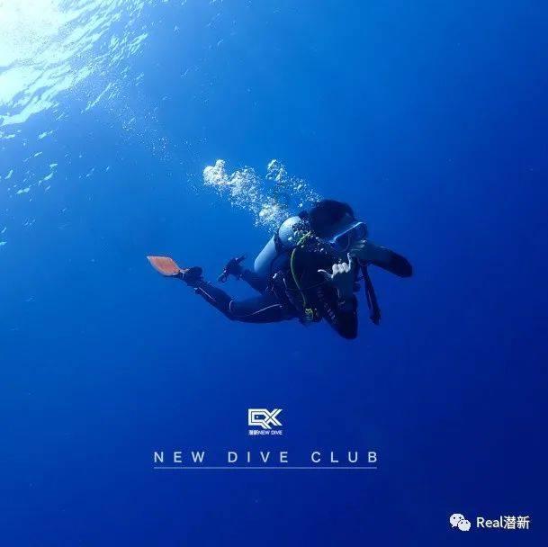 滚动的奶酪选关版